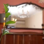 Luccil\'S Home Downtown